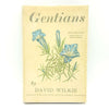 Gentians by David Wilkie 1936
