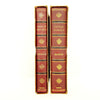 The 'Illustrated' Dickens - Two Volume Collection