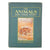 The Animals and their Story 1909