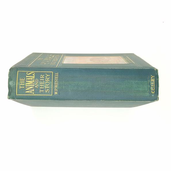 The Animals and their Story 1909