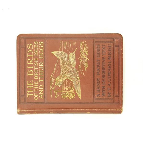 The Birds of the British Isles and their Eggs, Second Series - Warne, 1923