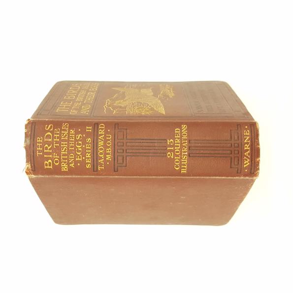 The Birds of the British Isles and their Eggs, Second Series - Warne, 1923