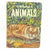 The Wonder Book of Animals 1960