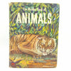 The Wonder Book of Animals 1960