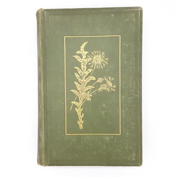 Flowers of the Field 1920