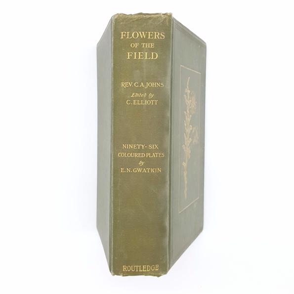 Flowers of the Field 1920