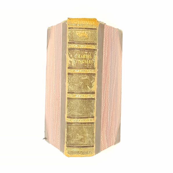 Charles Kingsley - His Letters and Memories of his Life Volume I 1881