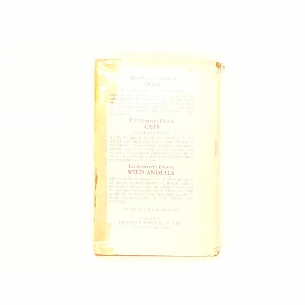 Horses &amp; Ponies by R.S. Summerhays 1966