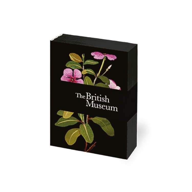 The British Museum Delany Flowers - Mini Notebook Set of Three