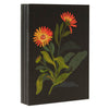 The British Museum Delany Flowers - Mini Notebook Set of Three