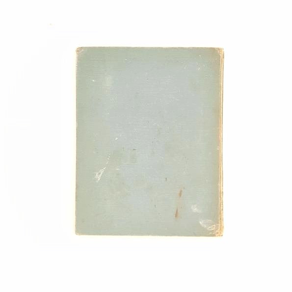 Vere Foster's Simple Lessons In Water Color: Flowers 1884