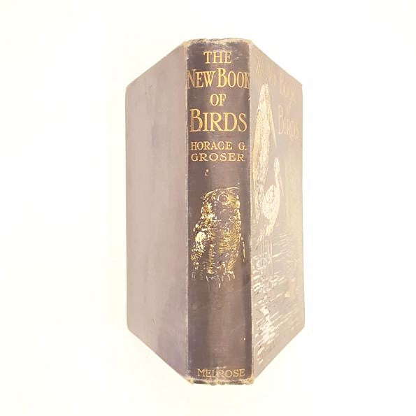 The New Book of Birds by Horace G. Grosser 1909