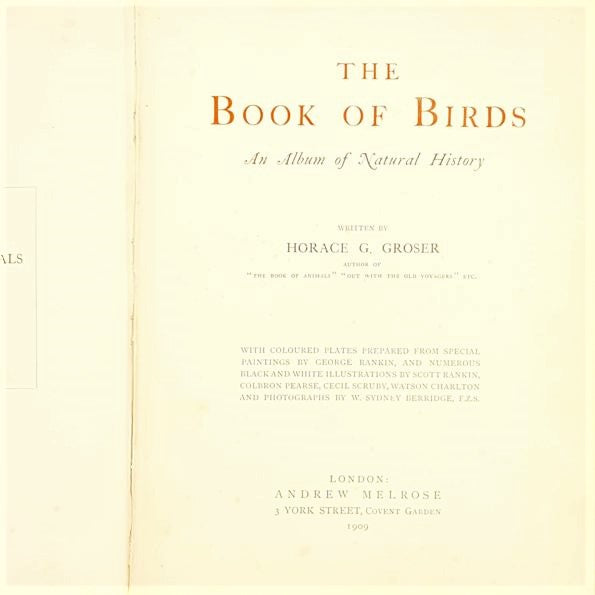 The New Book of Birds by Horace G. Grosser 1909
