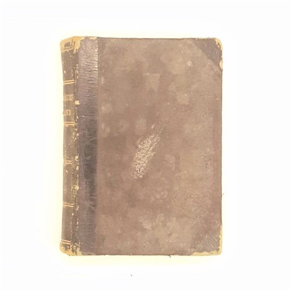 Robert Louis Stevenson's Treasure Island 1893