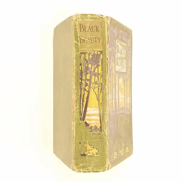 Anna Sewell's Black Beauty