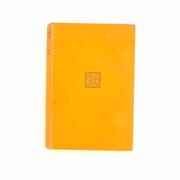 The Mystery Plane by Elspeth Procter