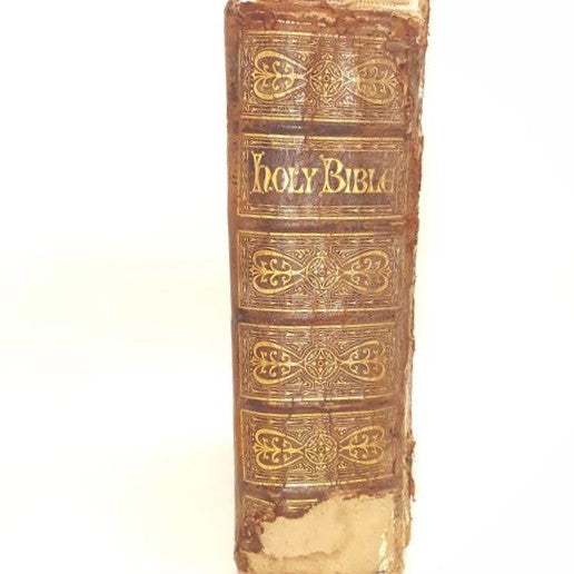 Brown's Self-Interpreting Family Bible Illustrated