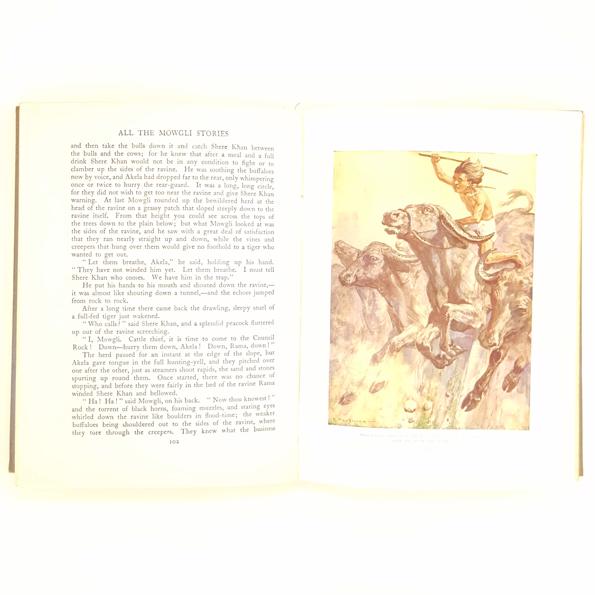 All The Mowgli Stories by Rudyard Kipling 1956