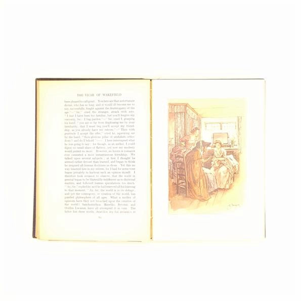 Oliver Goldsmith's The Vicar of Wakefield - Chapman