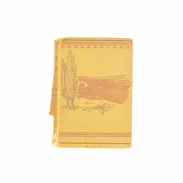 Robert Louis Stevenson's An Inland Voyage 1887 - Country House Library 