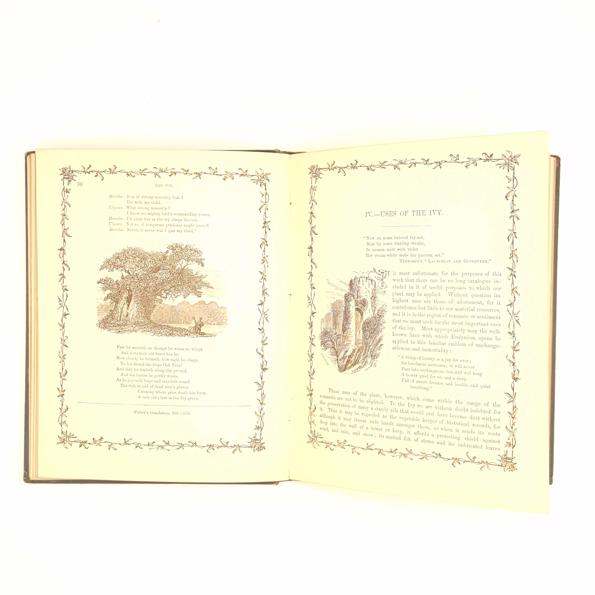 The Ivy: A Monograph by Shirley Hibberd 1893