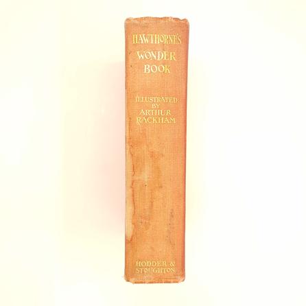 A Wonder Book by Arthur Rackham