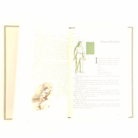 Mark Twain's The Adventures of Huckleberry Finn - Reader's Digest