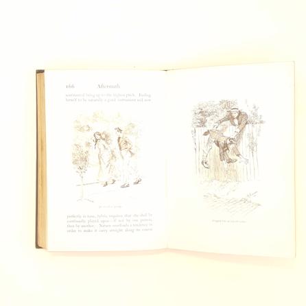 A Kentucky Cardinal and Aftermath by James Lane Allen 1901