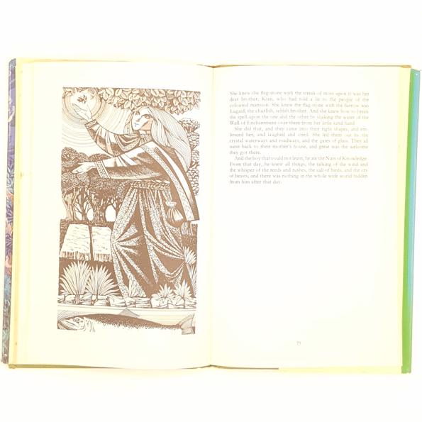 Great Fairy Tales of Ireland by Mary McGarry 1973