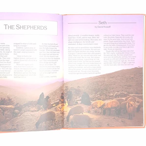 The Lion Christmas Book 1985 - Book Club Associates