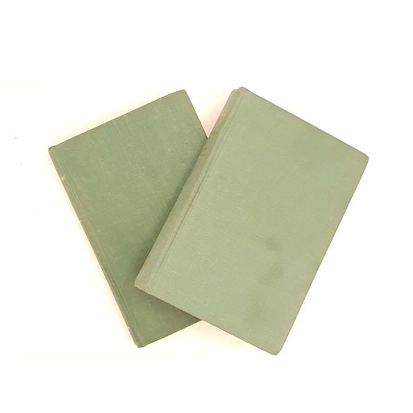 Jane Austen's Persuasion and Northanger Abbey - Nelson Collection