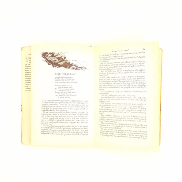 Rudyard Kipling's The Jungle Books 1955 -1969