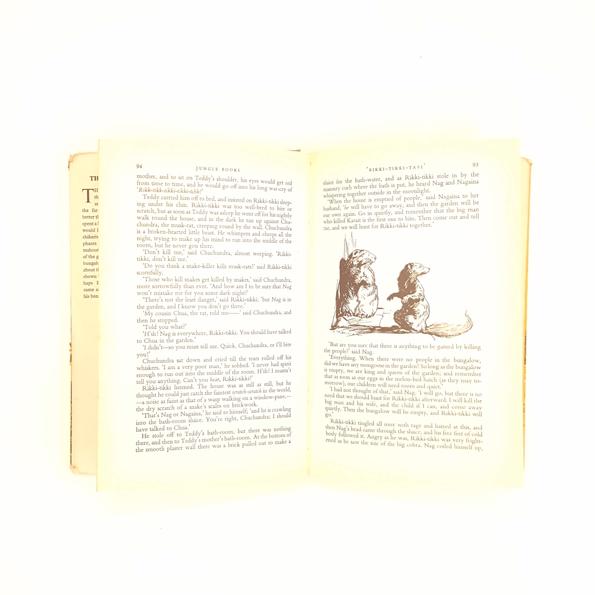 Rudyard Kipling's The Jungle Books 1955 -1969