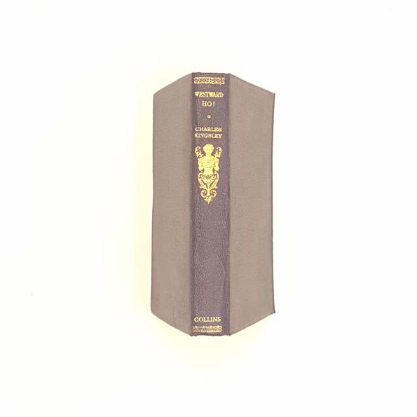 Charles Kingsley's Westward Ho!