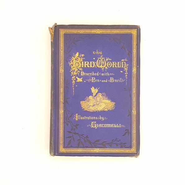 The Bird World by W.H. Davenport Adams 1878