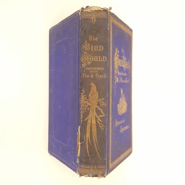 The Bird World by W.H. Davenport Adams 1878