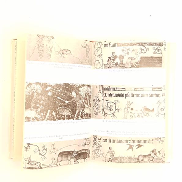 Consuming Passions by Philippa Pullar 1977