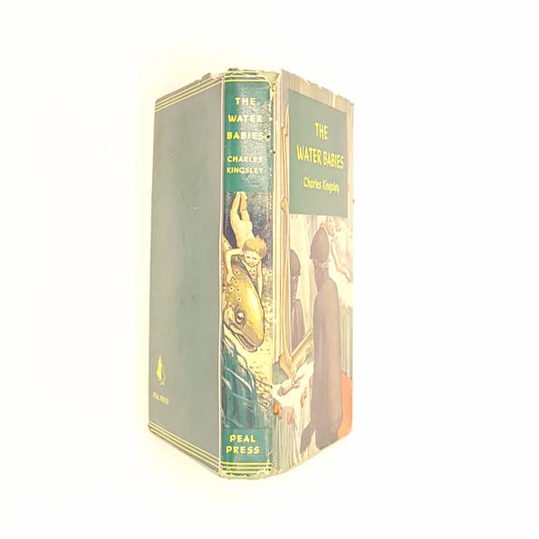 The Water Babies by Charles Kingsley