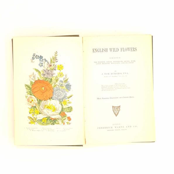 English Wild Flowers by J.T. Burgess c1900