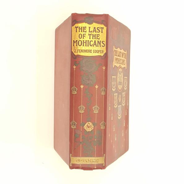 The Last of The Mohicans by J.F. Cooper