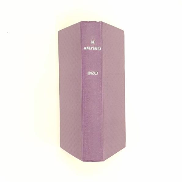 The Water-Babies by Charles Kingsley