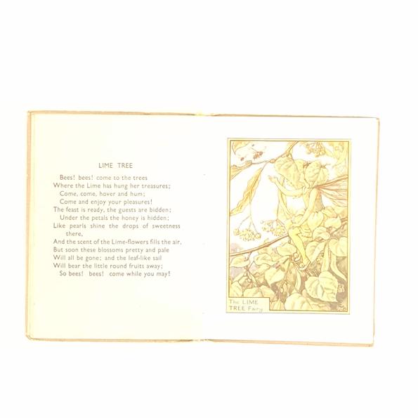 Fairies of The Trees by Cecily Mary Barker, c.1947