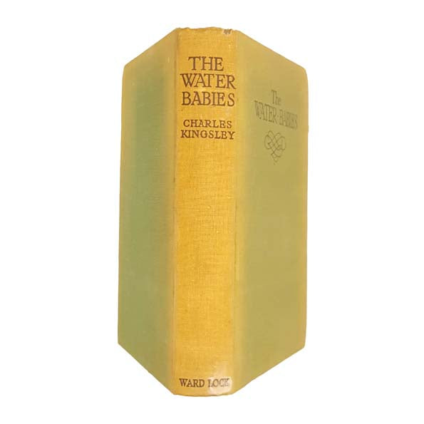 The Water-Babies by Charles Kingsley - Illustrated