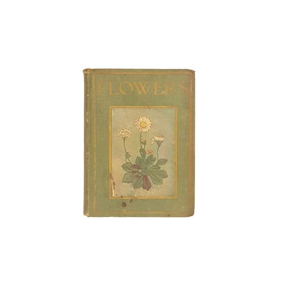 Flowers by Janet Harvey Kelman