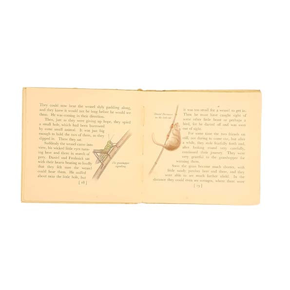 Daniel Dormouse by Frederick Frog 1946 - First Edition
