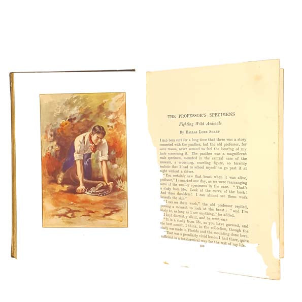 In The Lion's Mouth by Alfred H. Miles 1912