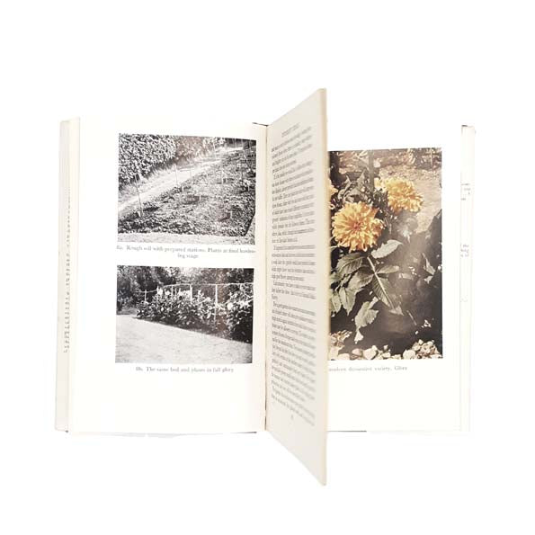 Dahlia Cultivation by N. Gerard Smith 1950