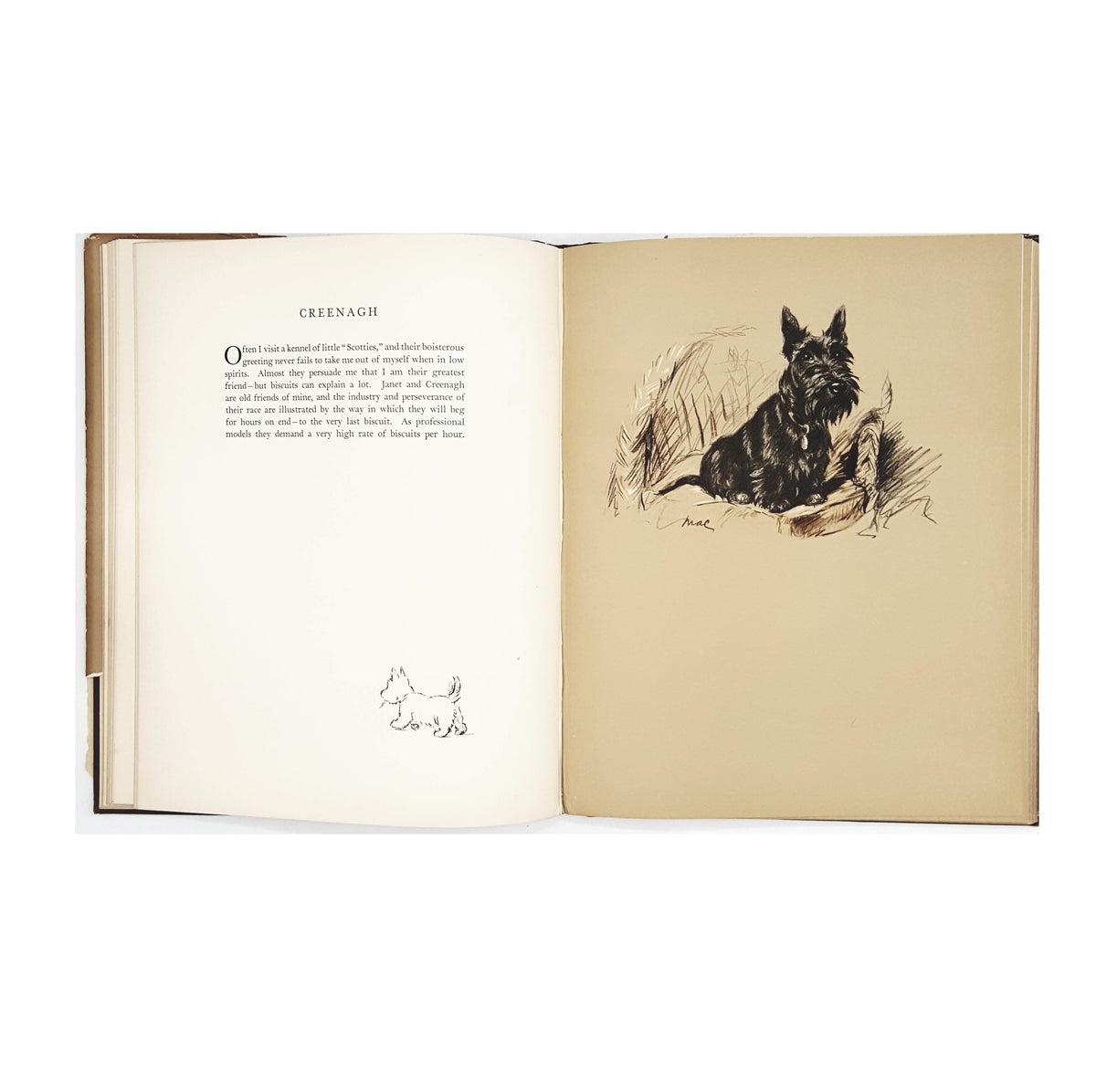 Dogs As I See Them by Lucy Dawson 1936 - First Edition