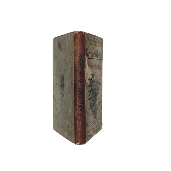 Nature's Wonders by Edith Carrington 1897
