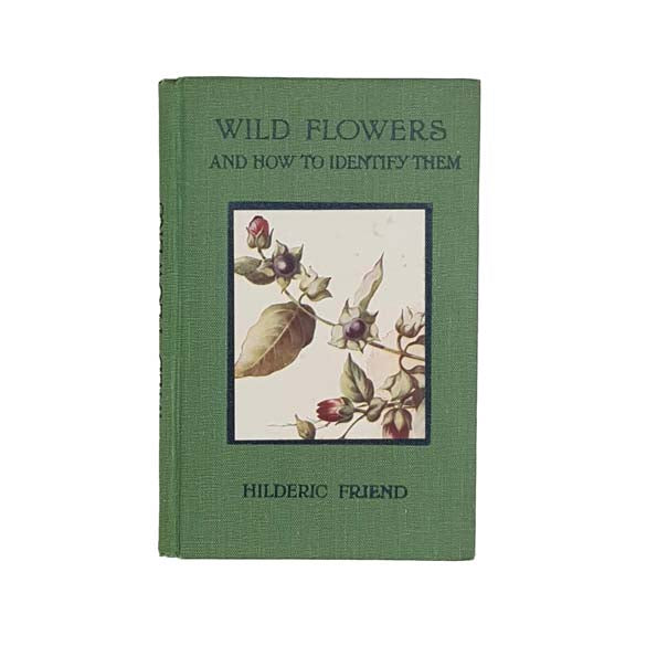 Wild Flowers and How To Identify Them by Hilderic Friend 1934